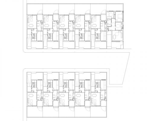 Exit_Tortola_Plantas_01