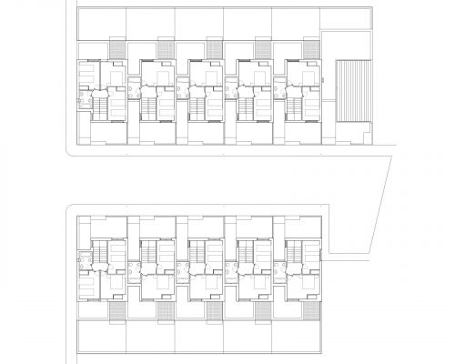 Exit_Tortola_Plantas_02